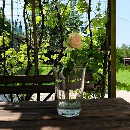 In Collina B&B Тренто Екстер'єр фото